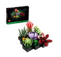 Succculents